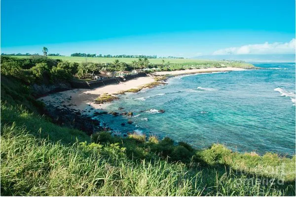 North Shore Landscaping Logo