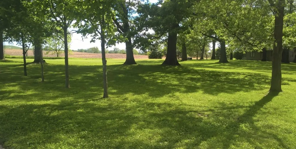 Custom landscape installation experts serving Waukegan, IL - North Shore Lawn Care and Small Engine