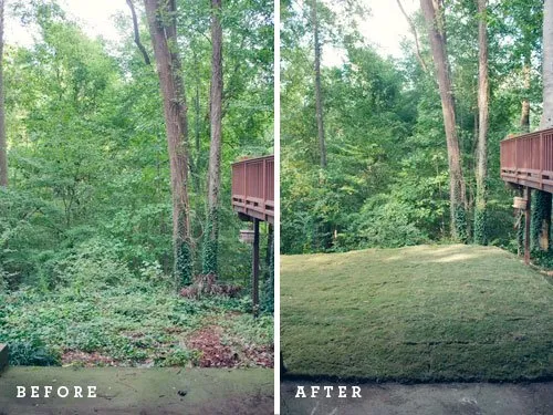 Top-rated lawn care service in Haleiwa, HI by North Shore Lawn Maintenance