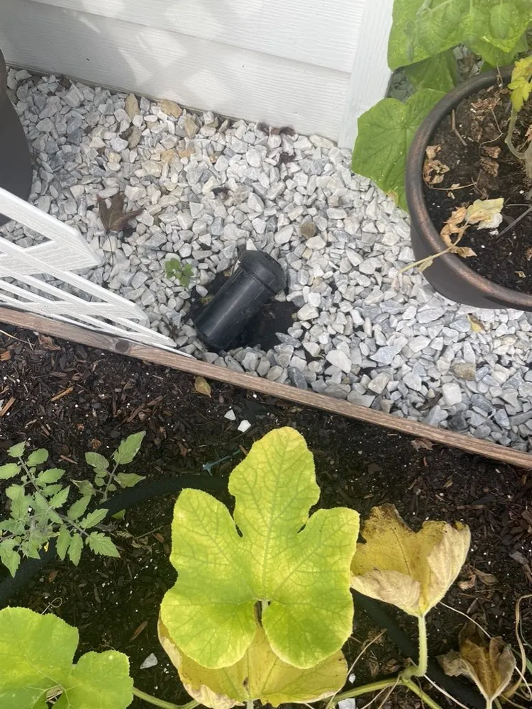 Trusted landscape design in Highland Park, IL - North Shore Lawnsprinkler