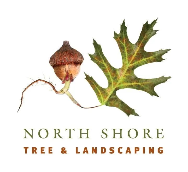 Custom outdoor landscaping for year-round maintenance in Port Jefferson, NY by North Shore Tree & Landscaping