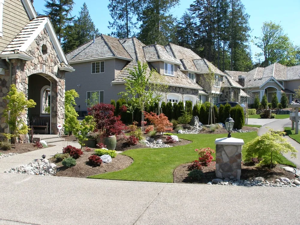 Trusted yard cleanup service in Edmonds, WA - North Sound Service