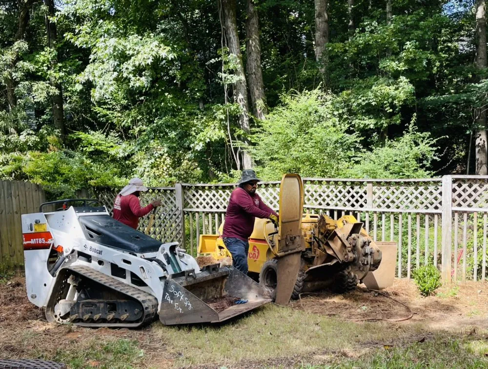 Affordable lawn care service experts serving Johns Creek, GA - North Spring Gardening