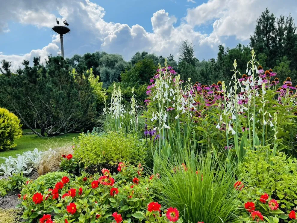 Affordable outdoor landscaping for residential properties in Johns Creek, GA by North Spring Gardening