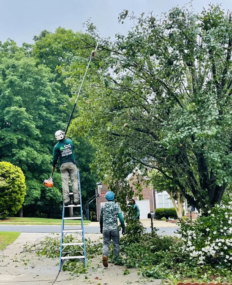 Reliable landscape design with custom design in Johns Creek, GA by North Spring Gardening