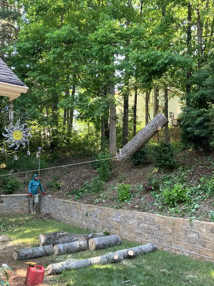 Top-rated landscaping services in Johns Creek, GA by North Spring Gardening