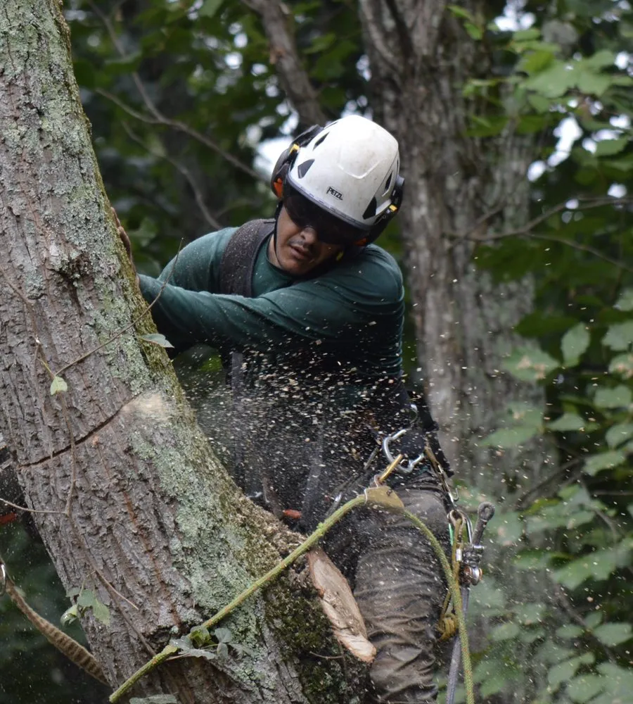 Local residential landscaping experts serving Johns Creek, GA - North Spring Gardening