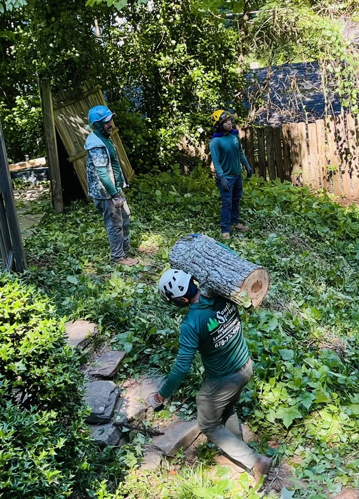 Top-rated landscaping services in Johns Creek, GA by North Spring Gardening