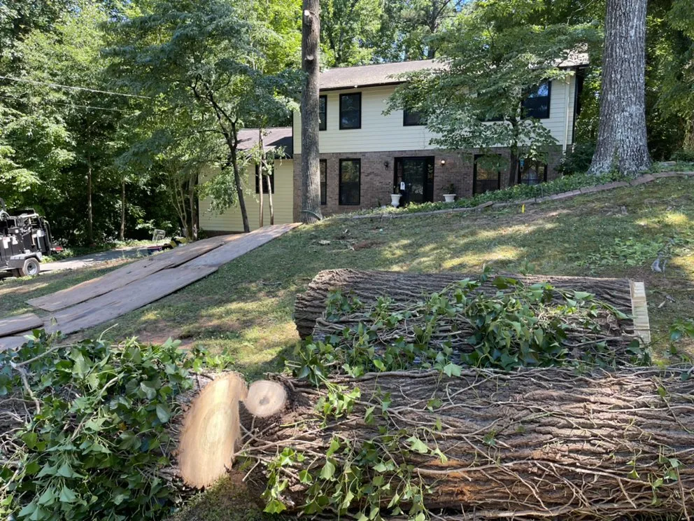 Reliable yard cleanup service for year-round maintenance in Johns Creek, GA by North Spring Gardening