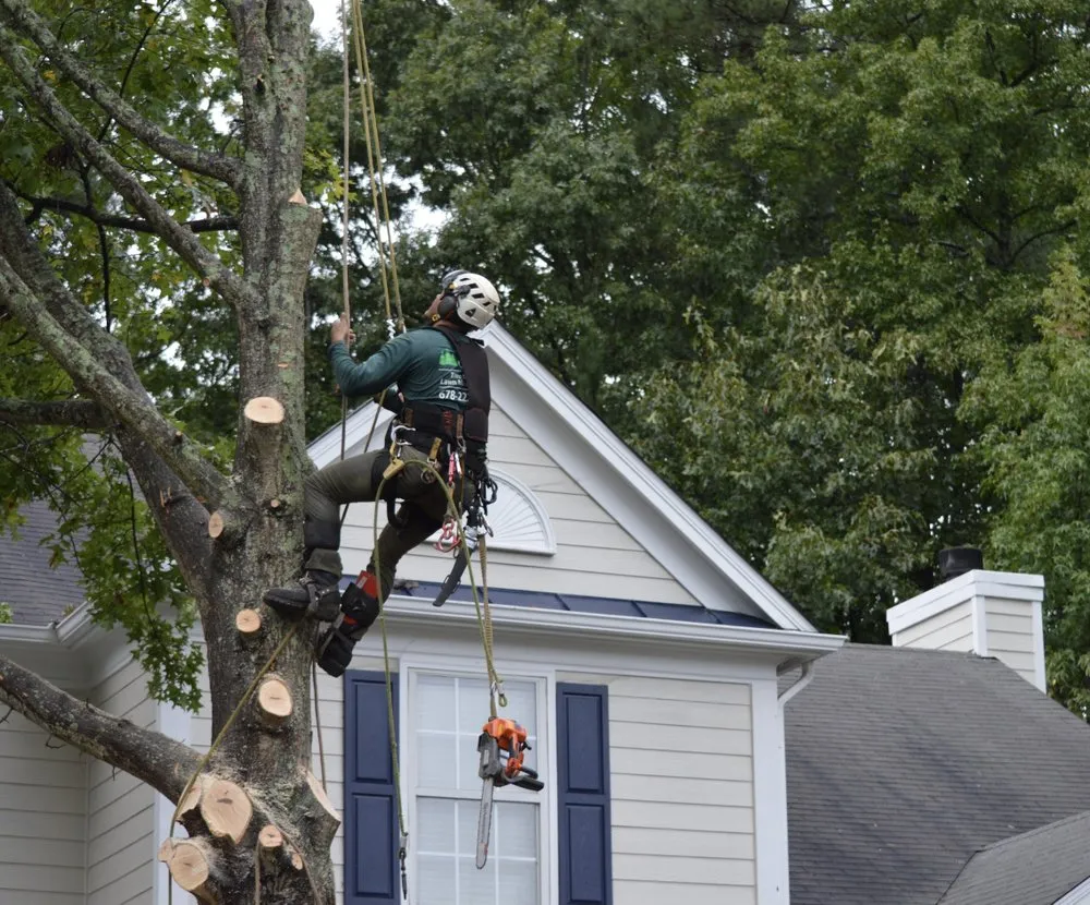 Local landscape installation with custom design in Johns Creek, GA by North Spring Gardening