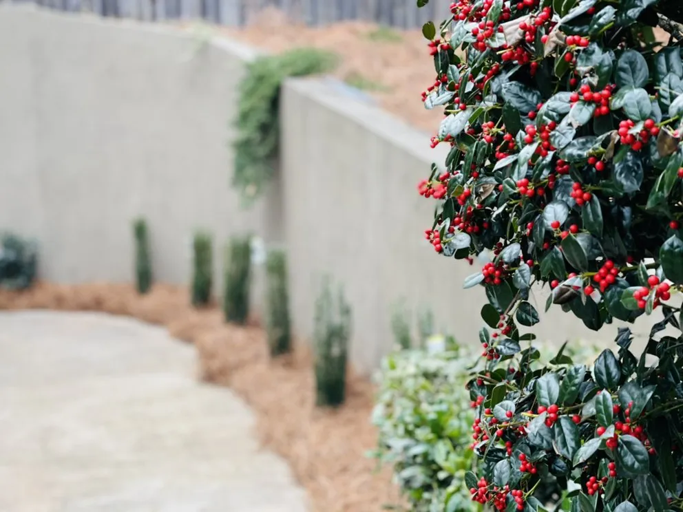 Trusted residential landscaping for outdoor upgrades across Johns Creek, GA - North Spring Gardening