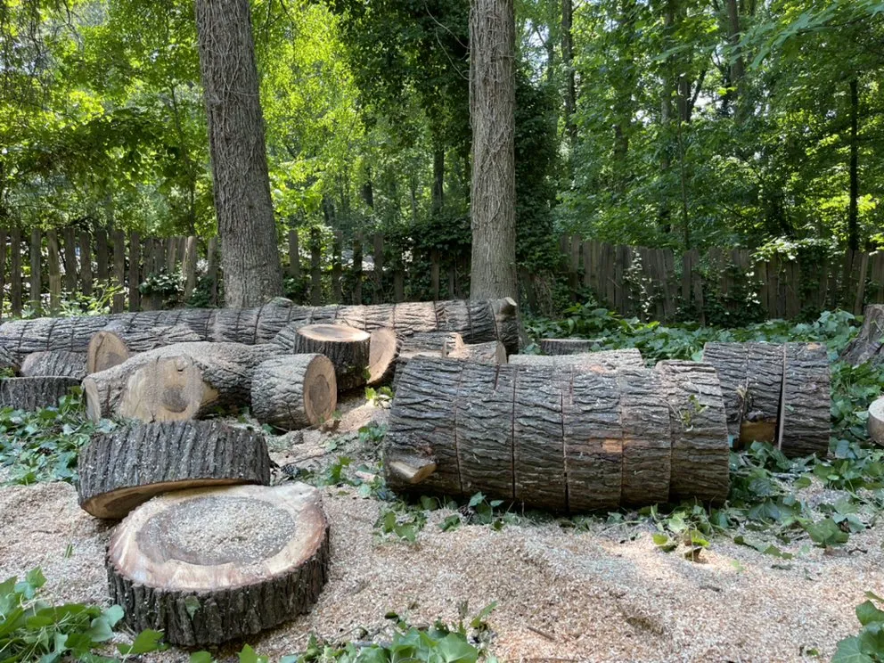 Custom outdoor landscaping in Johns Creek, GA - North Spring Gardening