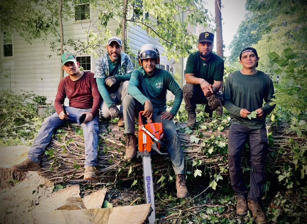 Expert landscaping services for homes in Johns Creek, GA by North Spring Gardening