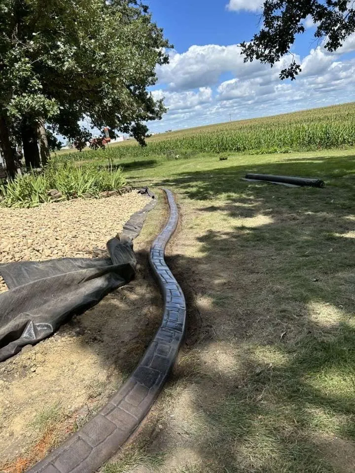 Expert yard cleanup service experts serving Fairmont, MN - North Star Borders