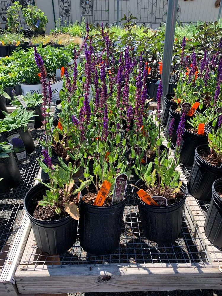 Professional residential landscaping in Hayward, WI by North Star Co Landscaping & Garden Center