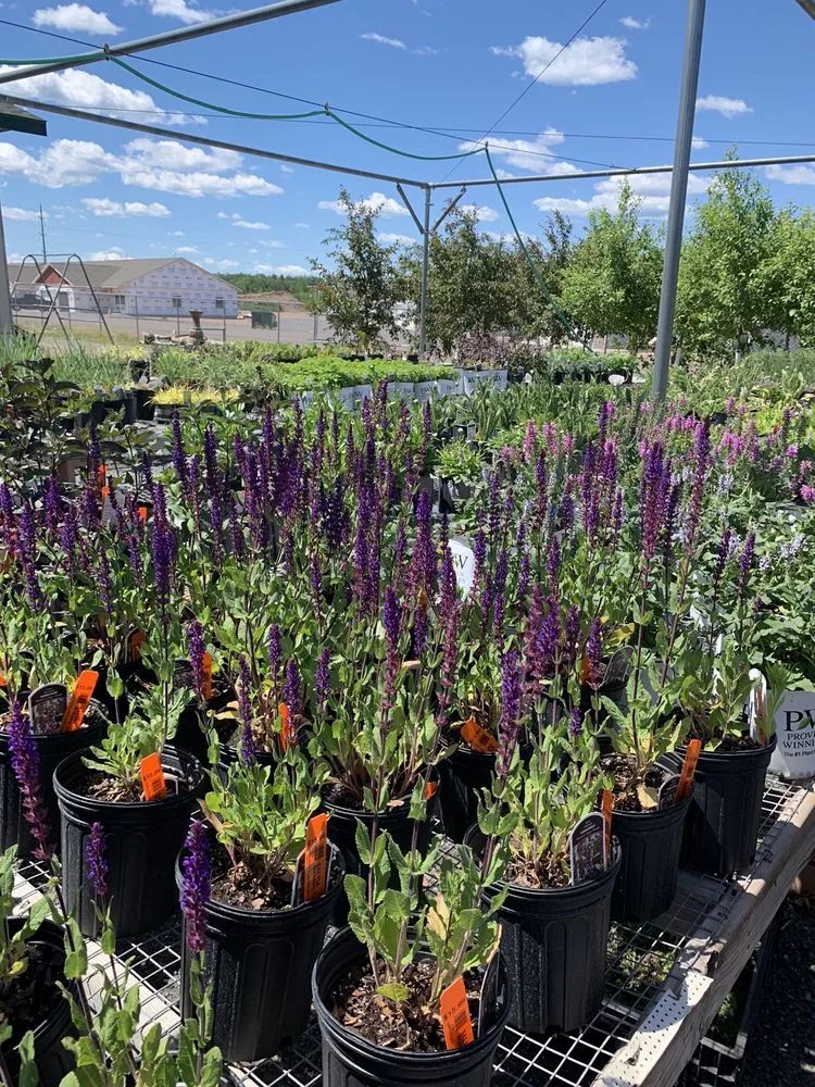 Professional landscape installation in Hayward, WI by North Star Co Landscaping & Garden Center