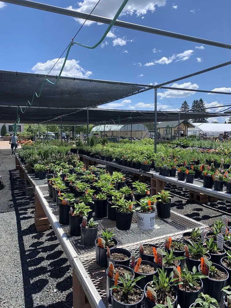 Top-rated yard maintenance in Hayward, WI - North Star Co Landscaping & Garden Center