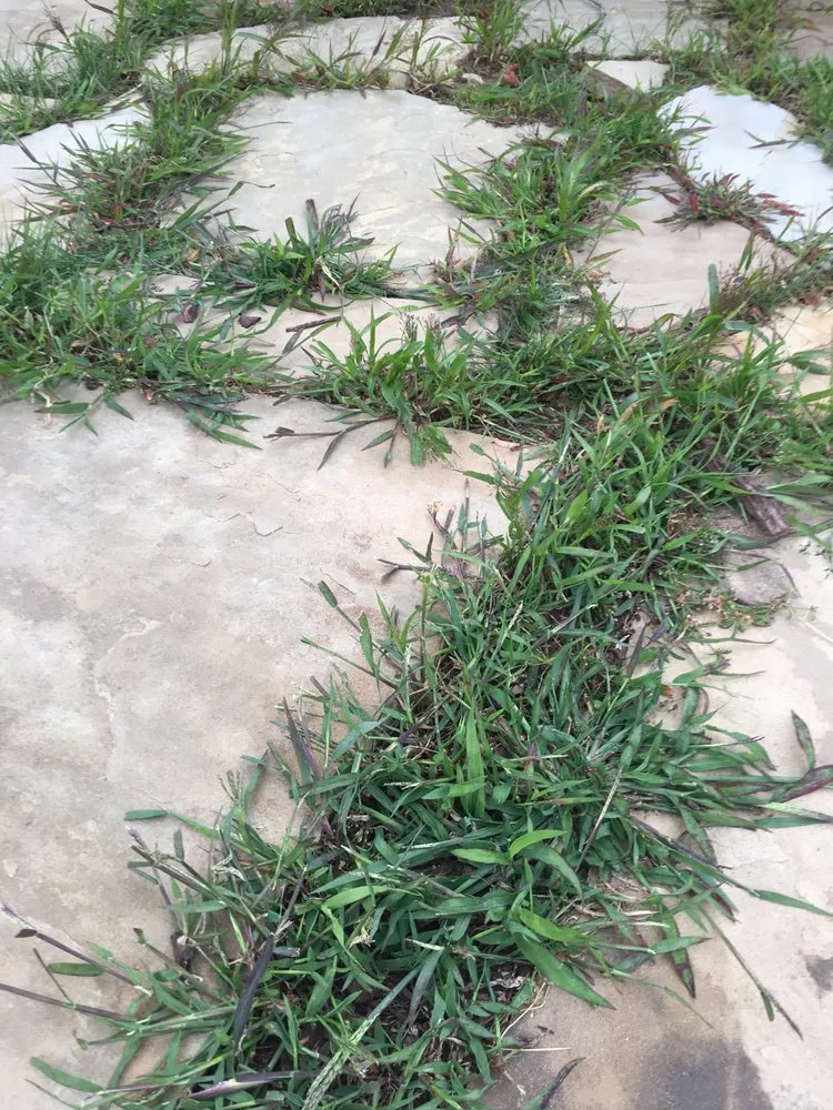 Local landscape installation in Hayward, WI by North Star Co Landscaping & Garden Center