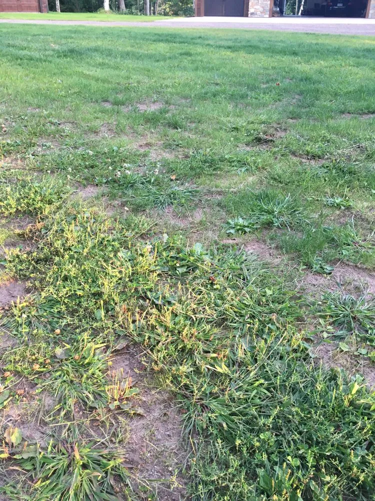 Expert garden landscaping experts serving Hayward, WI - North Star Co Landscaping & Garden Center