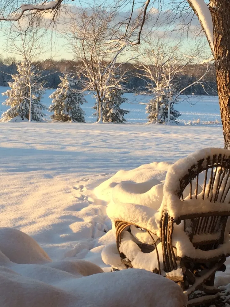 Trusted landscape installation in Cassopolis, MI - North Star Landscape Design & Installation