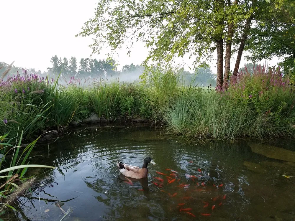 Expert garden landscaping in Cassopolis, MI - North Star Landscape Design & Installation