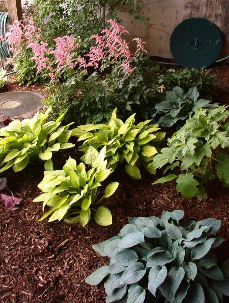 Affordable landscape design in Cassopolis, MI - North Star Landscape Design & Installation