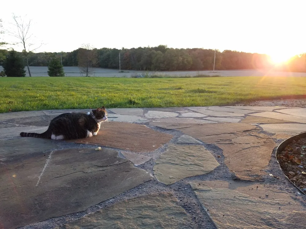 Reliable lawn care service for outdoor upgrades across Cassopolis, MI - North Star Landscape Design & Installation