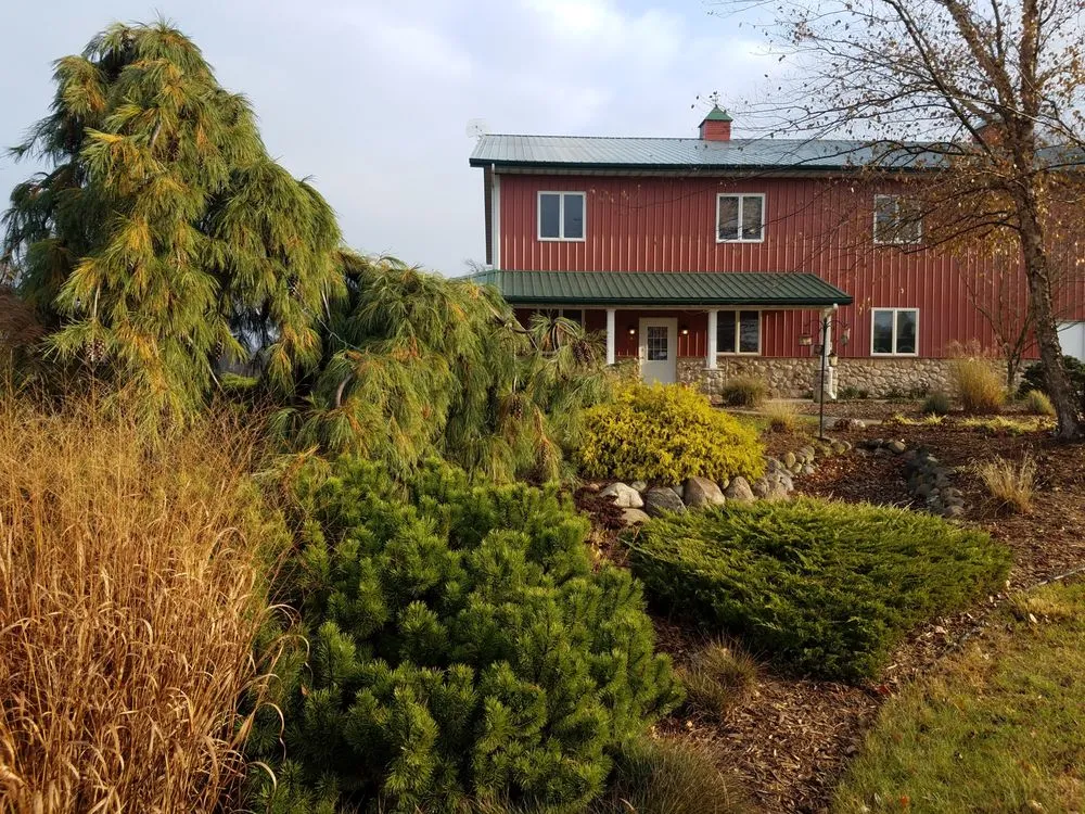 Affordable yard maintenance for outdoor upgrades in Cassopolis, MI by North Star Landscape Design & Installation