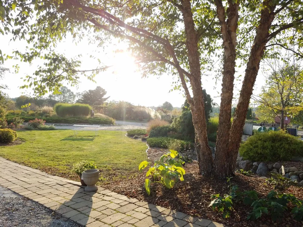 Professional yard cleanup service near you in Cassopolis, MI by North Star Landscape Design & Installation