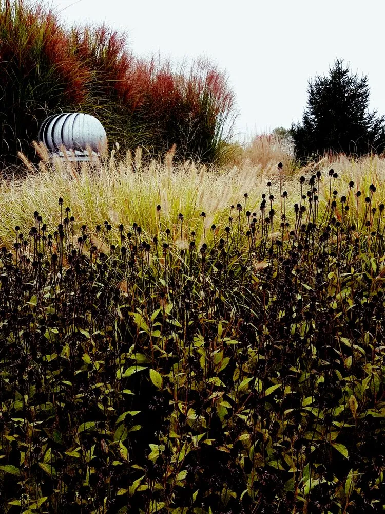 Reliable lawn mowing service experts serving Cassopolis, MI - North Star Landscape Design & Installation