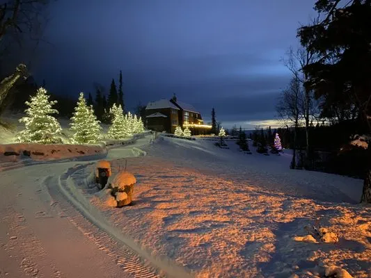 North Star Landscaping Logo