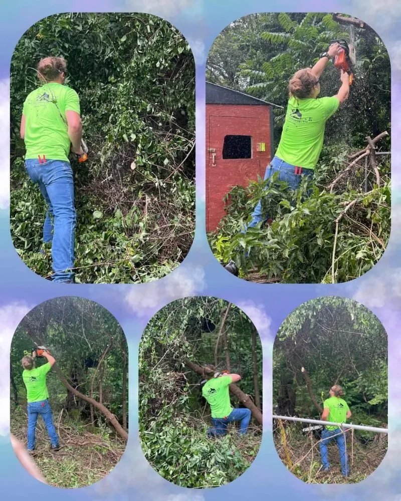 Local yard cleanup service in Baltic, CT by North Star Landscaping