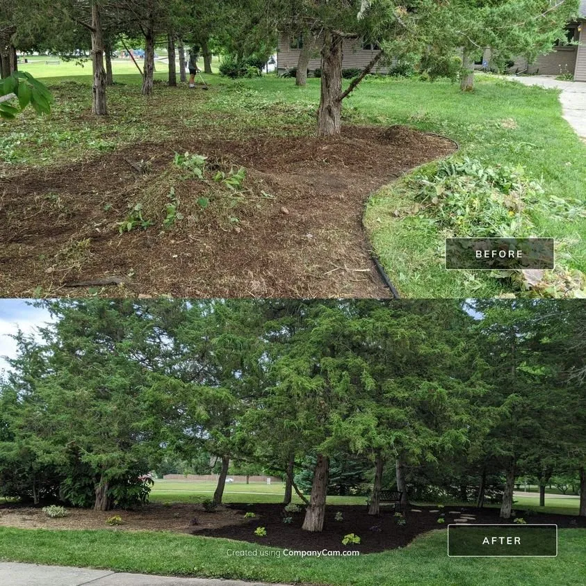 Top-rated yard cleanup service for beautiful yards in St Louis Park, MN by North Star Lawn & Landscape