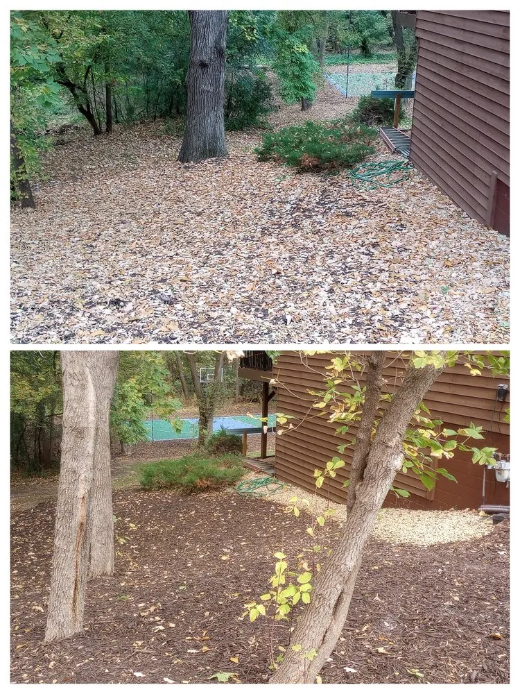 Professional landscaping services experts serving St Louis Park, MN - North Star Lawn & Landscape
