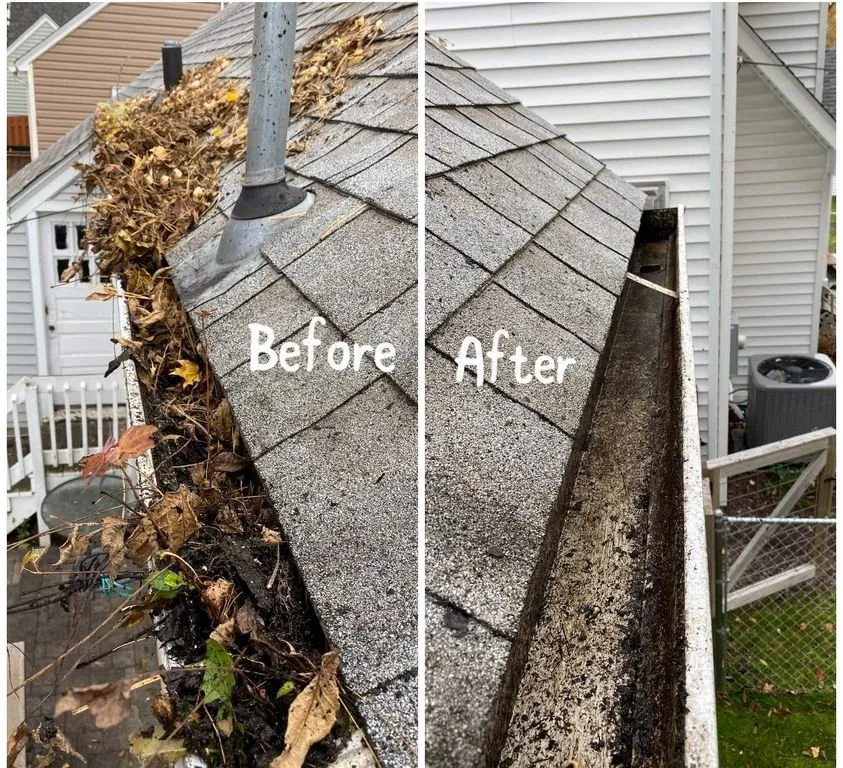 Reliable yard maintenance for outdoor upgrades across St Louis Park, MN - North Star Lawn & Landscape