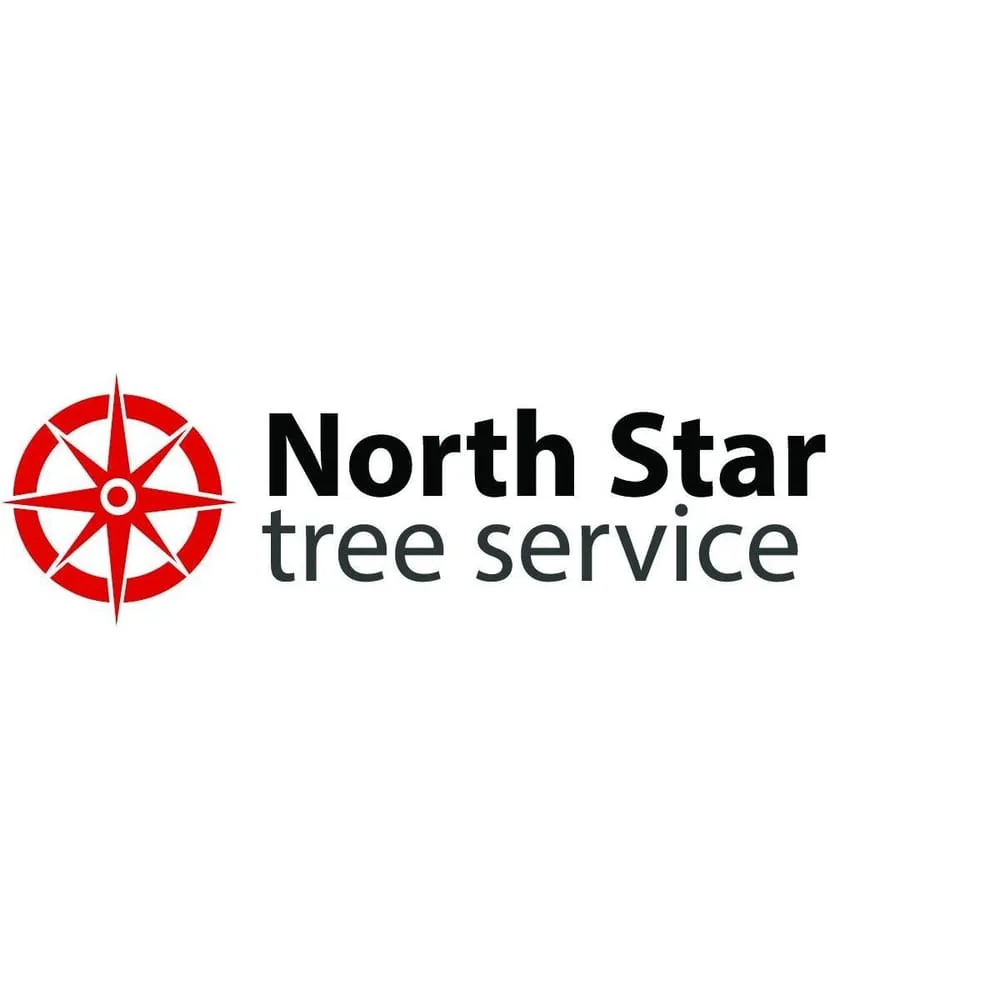 Expert yard maintenance for homes across Lawrenceville, GA - North Star Tree Service