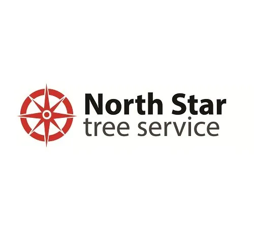Custom outdoor landscaping for homes in Lawrenceville, GA by North Star Tree Service