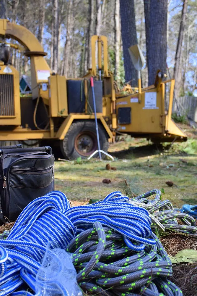 Reliable residential landscaping in Lawrenceville, GA - North Star Tree Service