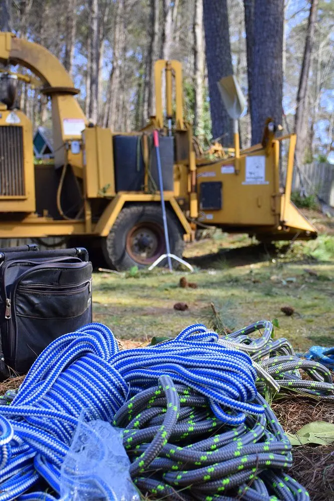 Reliable landscaping services in Lawrenceville, GA - North Star Tree Service