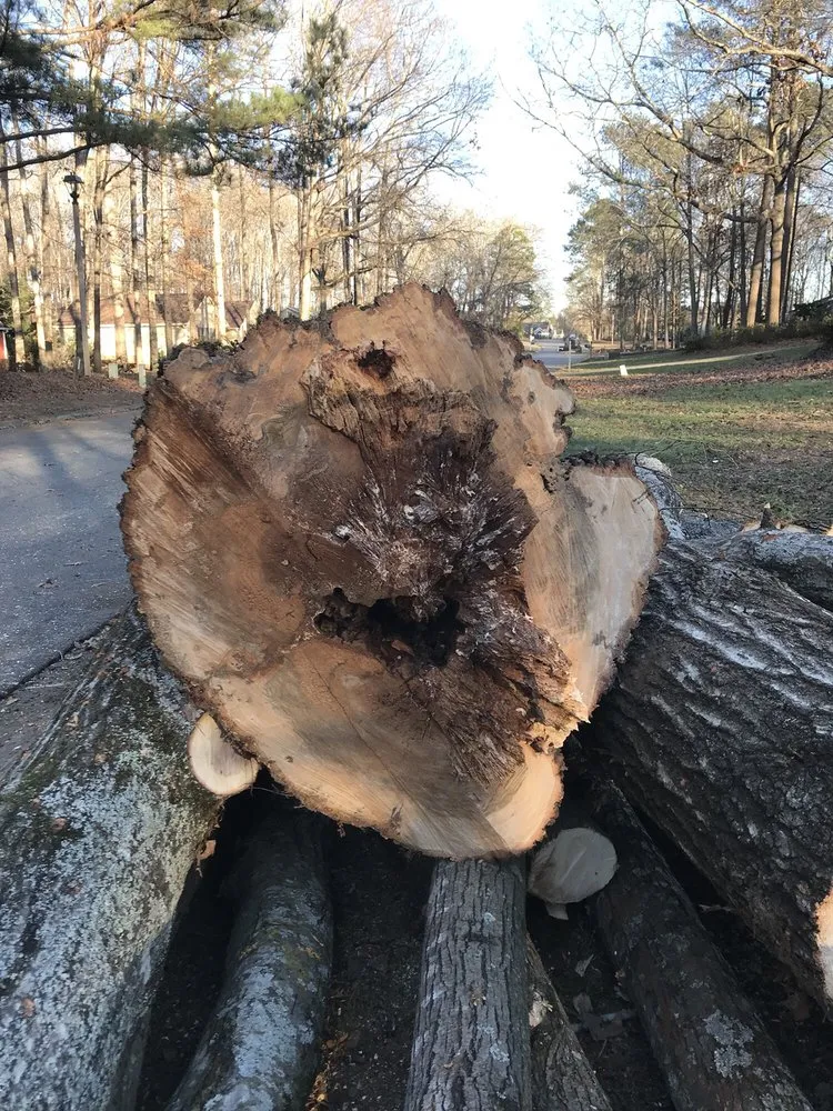 Top-rated lawn care service in Lawrenceville, GA - North Star Tree Service