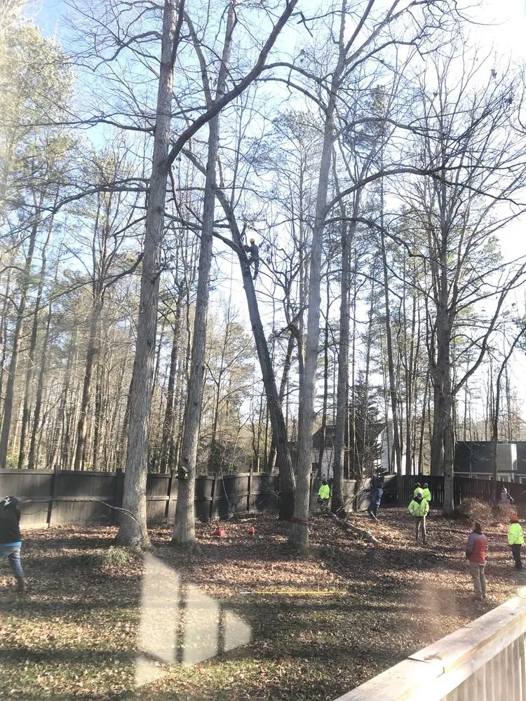 Expert landscape design for outdoor upgrades in Lawrenceville, GA by North Star Tree Service