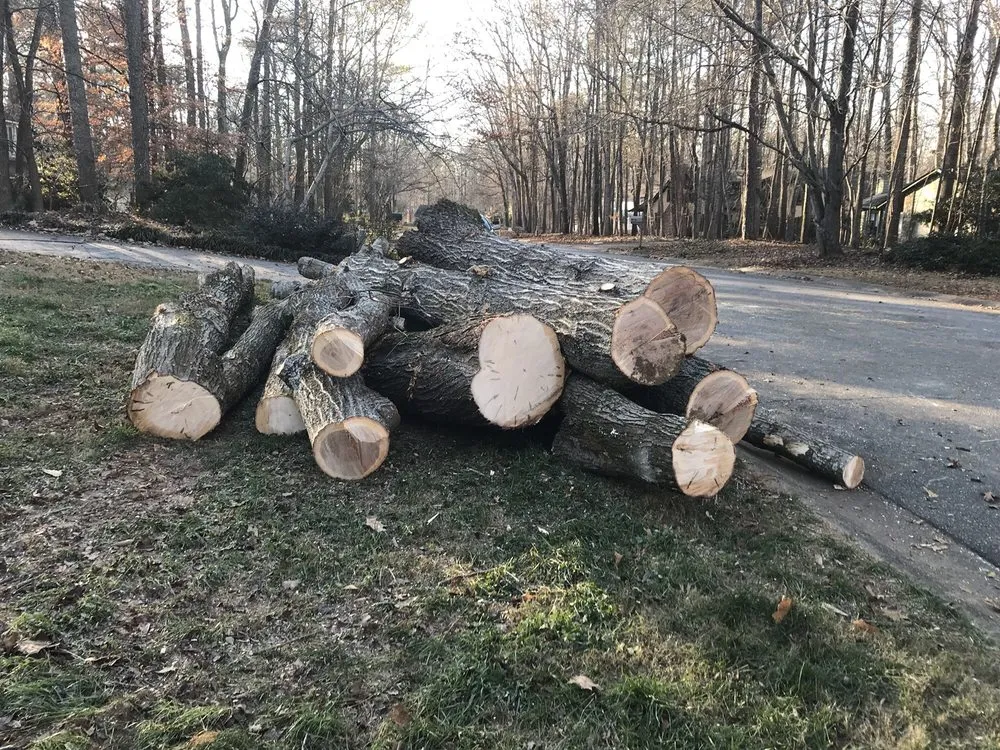 Top-rated lawn care service near you in Lawrenceville, GA by North Star Tree Service