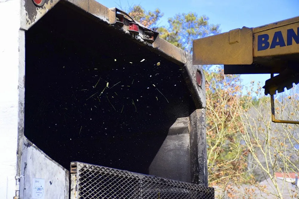 Reliable residential landscaping in Lawrenceville, GA by North Star Tree Service