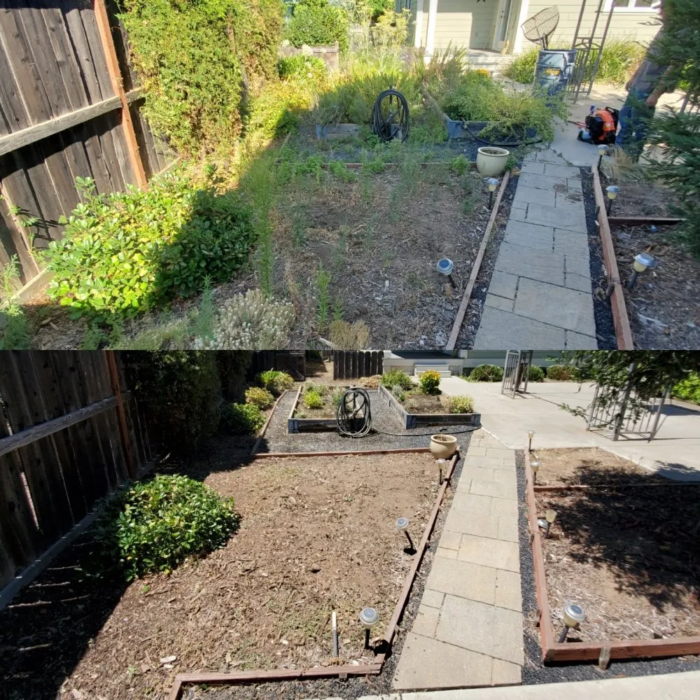 Top-rated yard cleanup service for homes across Chico, CA - North State Landscaping