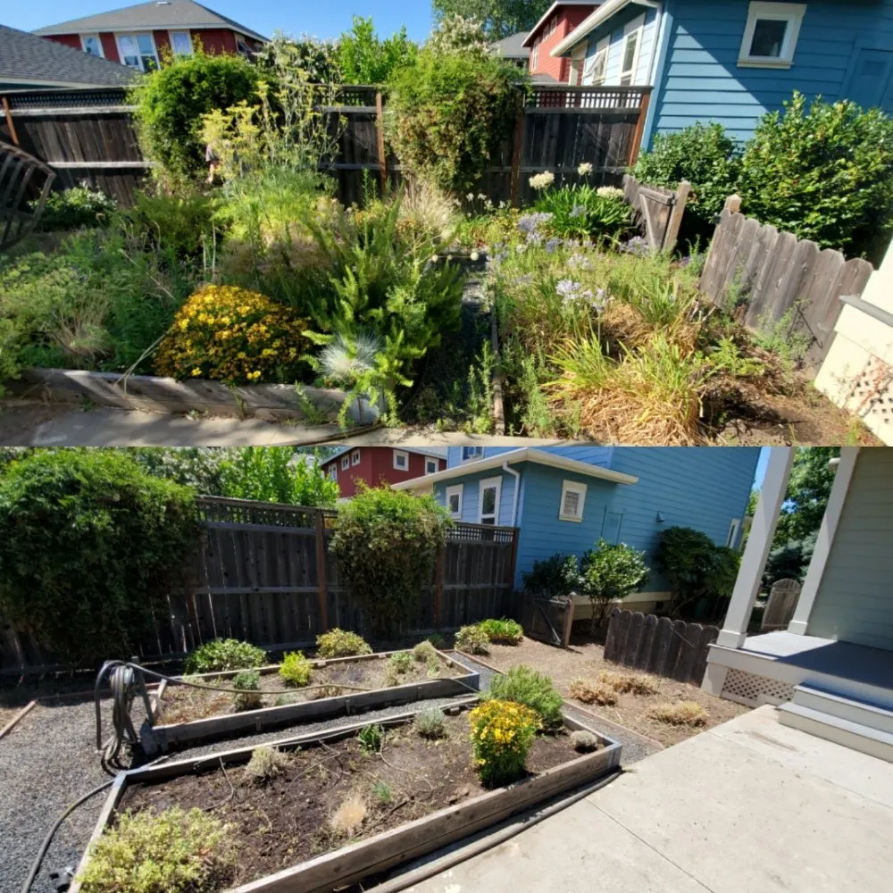 Affordable lawn mowing service experts serving Chico, CA - North State Landscaping