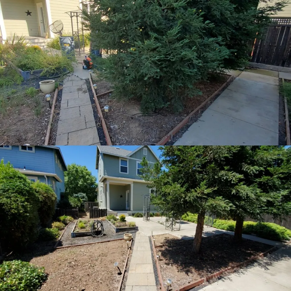 Custom yard maintenance in Chico, CA - North State Landscaping