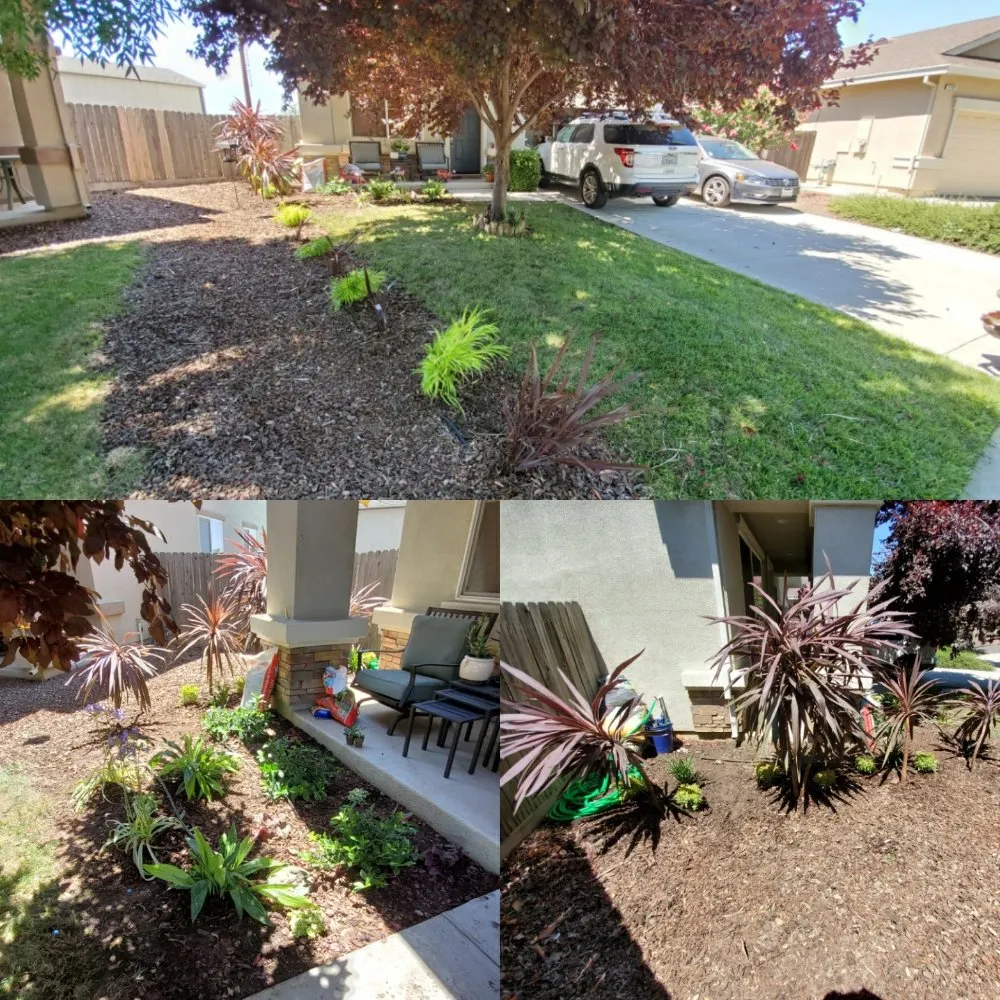 Affordable yard maintenance in Chico, CA - North State Landscaping