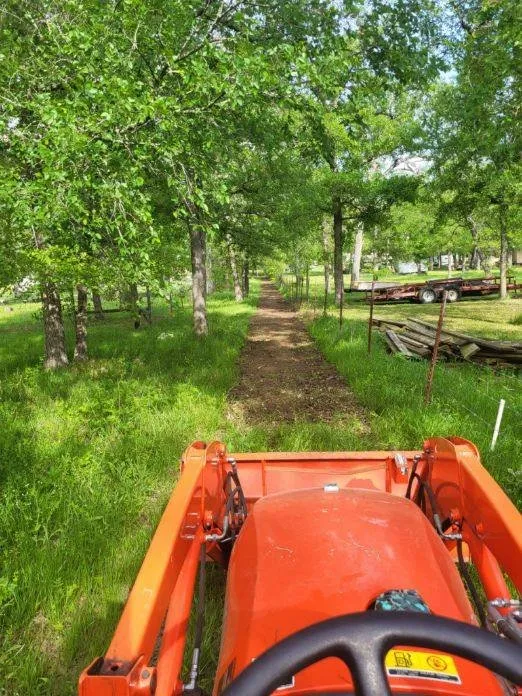 Trusted yard maintenance in Trinidad, TX by North Superior Service