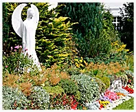 Affordable lawn mowing service in Granbury, TX by North Texas Dirt Works