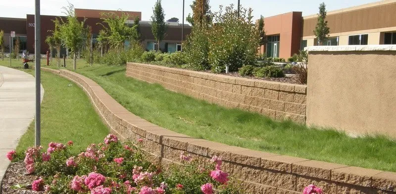 Expert landscape installation in Haslet, TX by North Texas Hydromulching & Services